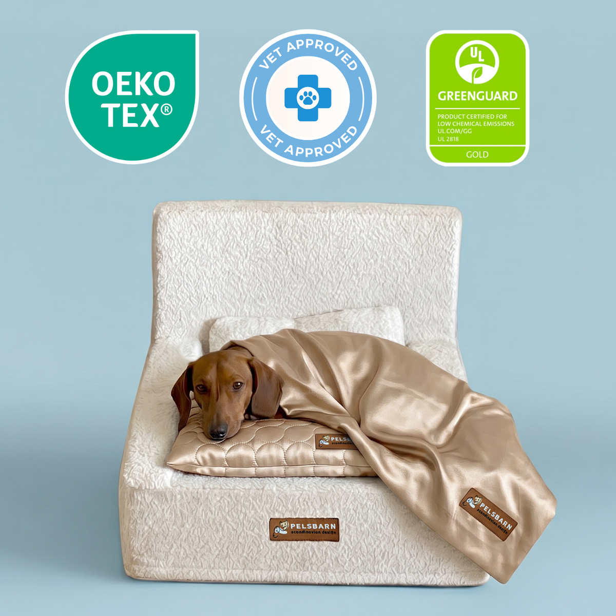 Ready for Dream Bed