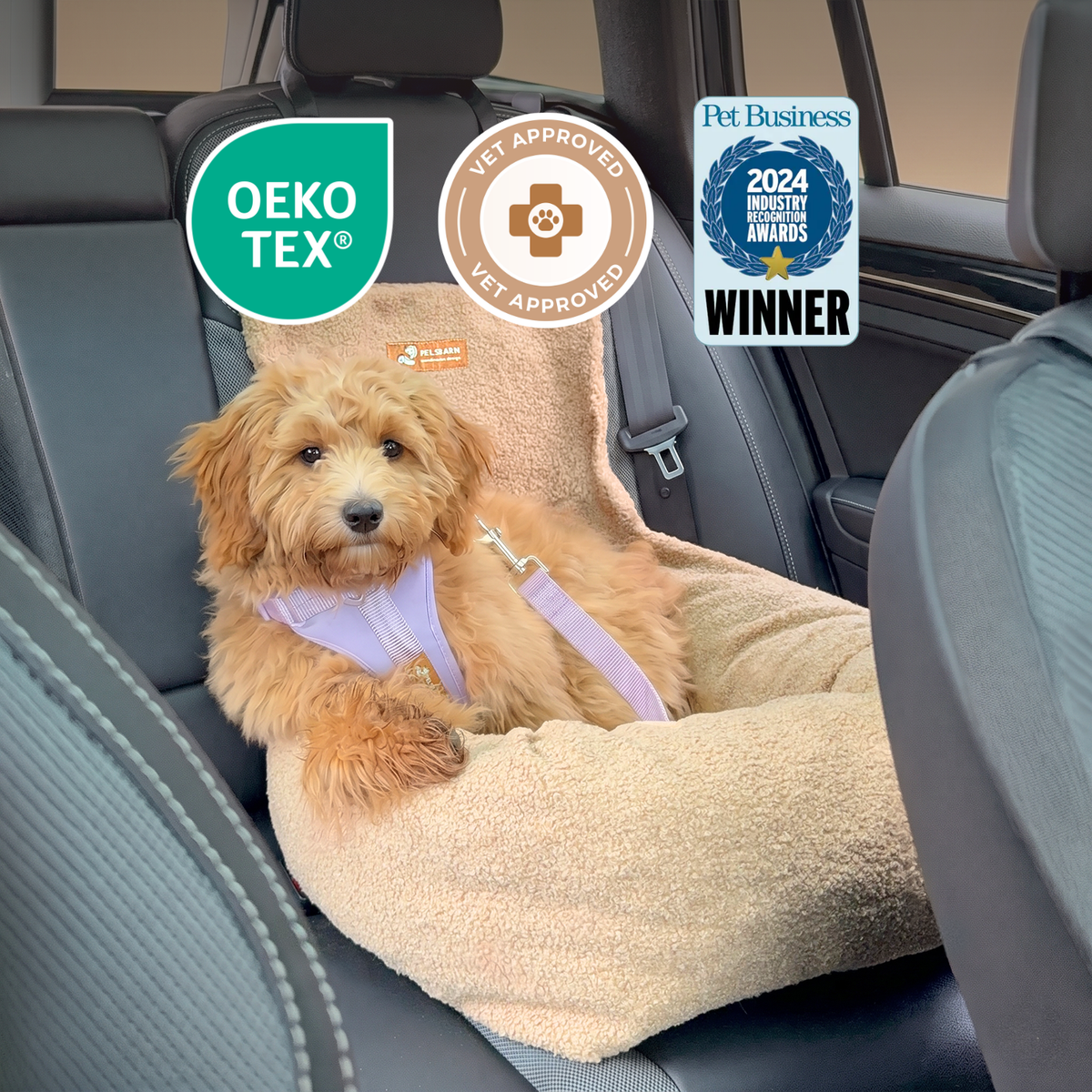 Teddy Car Bed