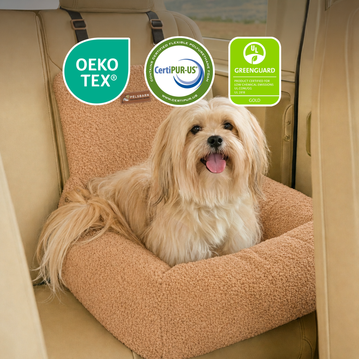 Teddy Car Bed