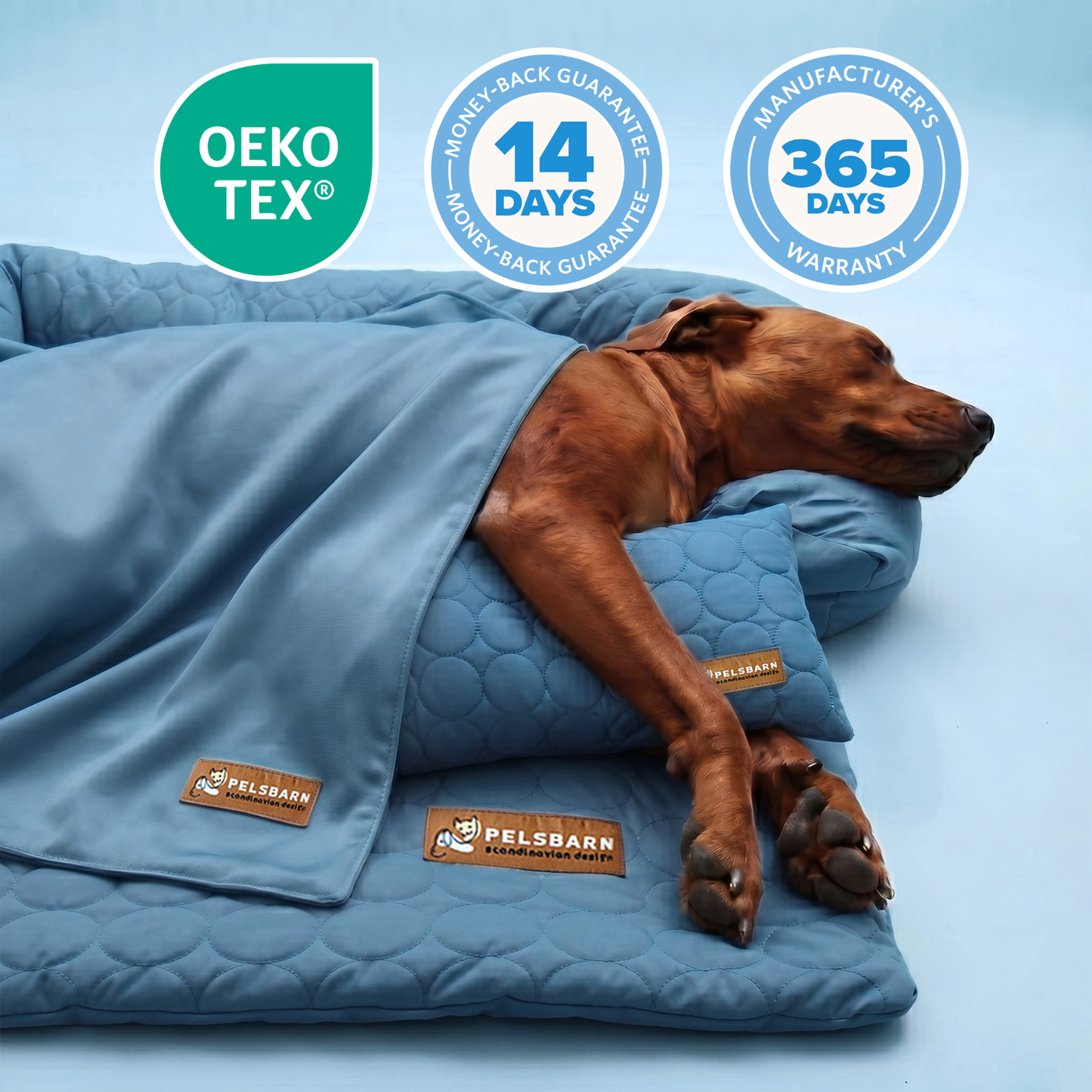 Heatrelief Cooling Dog Bed Complete Bundle