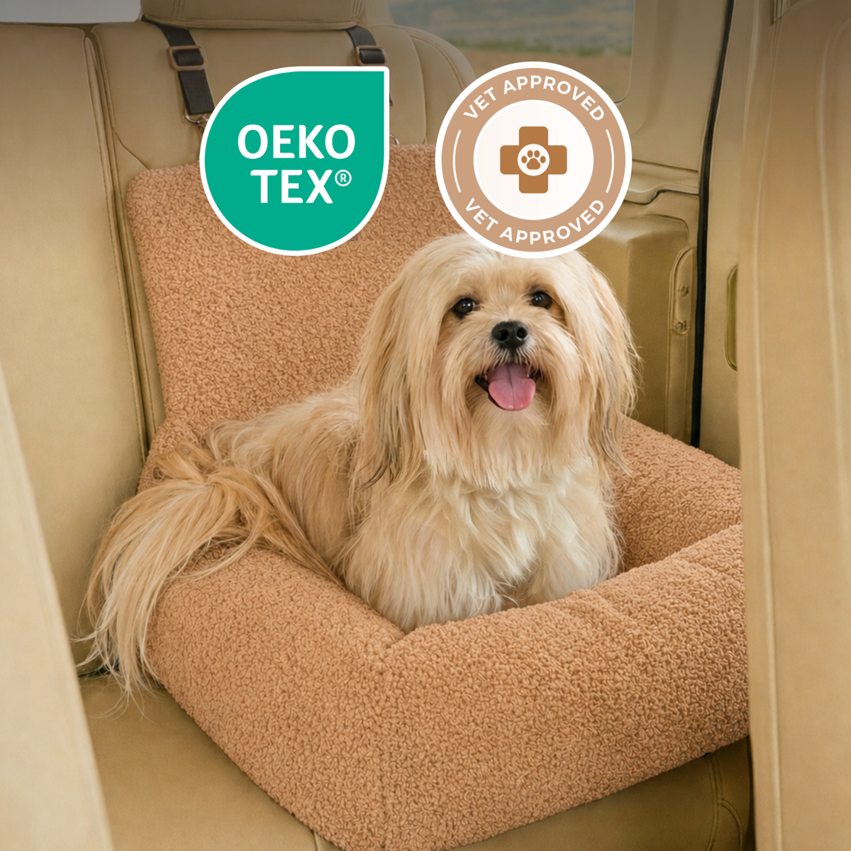 Teddy Car Bed