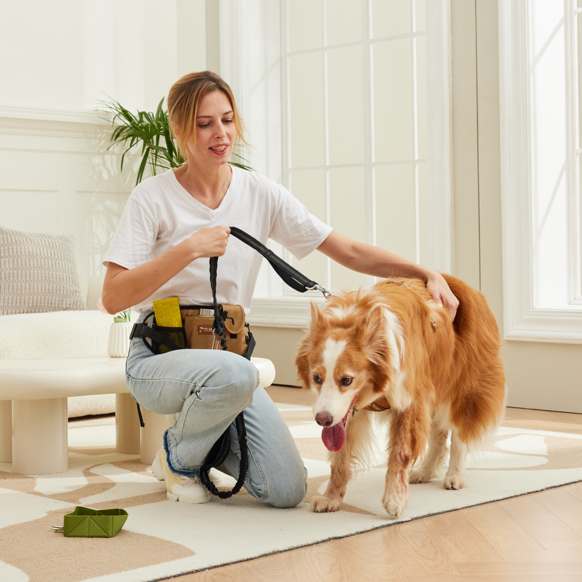 All-in-One Dog Walking Bag