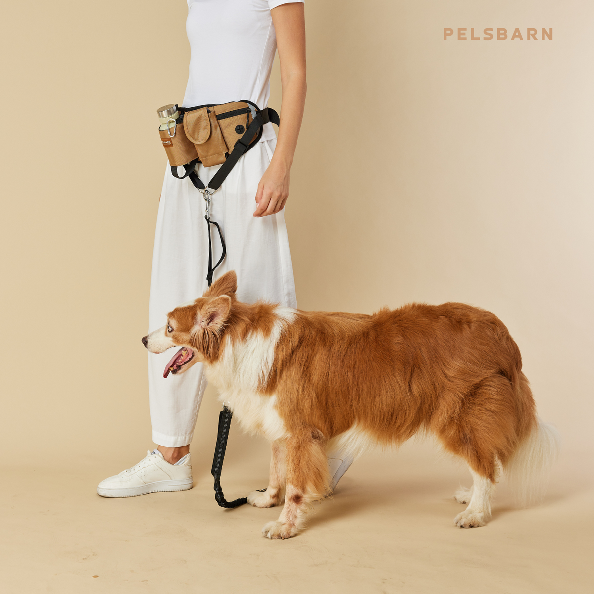 All-in-One Dog Walking Bag