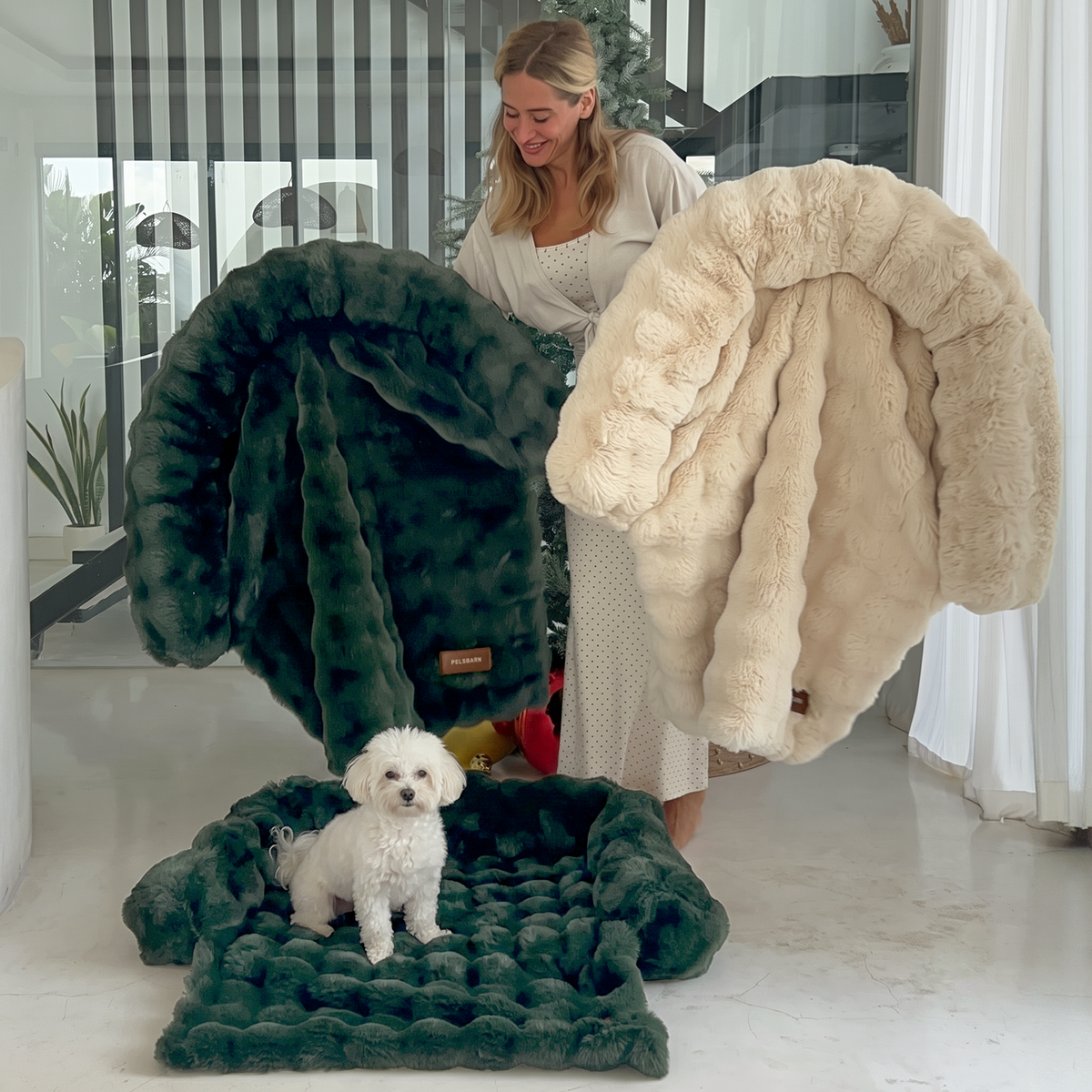 Luxurious Sofa Bed