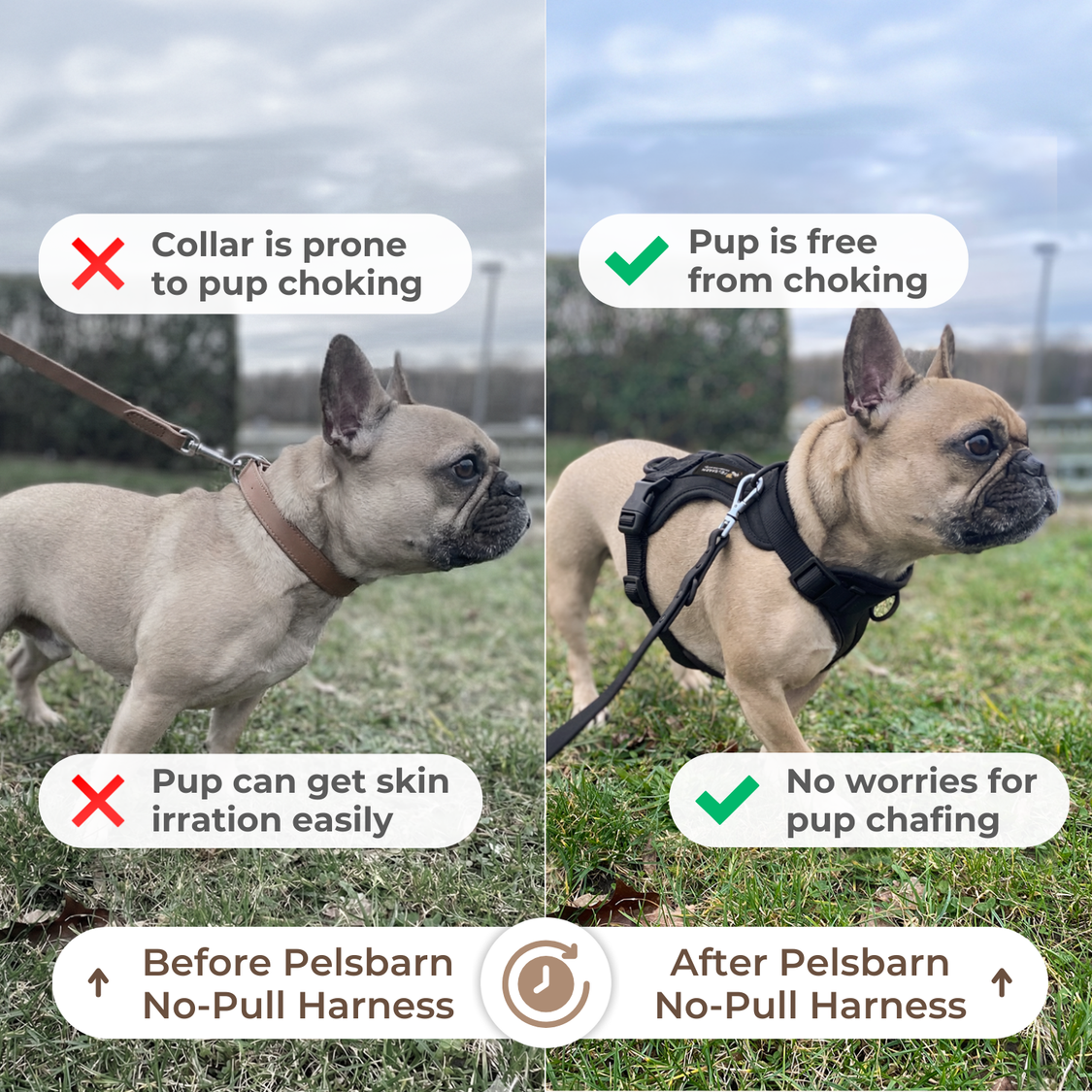 Pelsbarn Harness 1.0