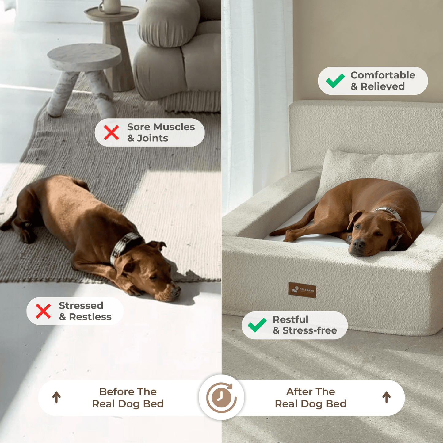 REAL orthopedic bed for dogs (including mattress and pillow)