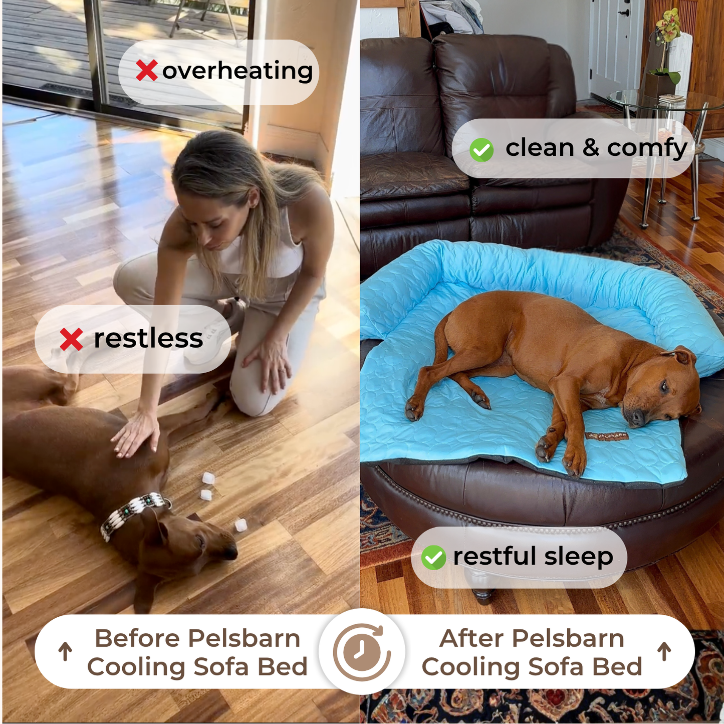 Pelsbarn Cooling Bed (4x more effective)