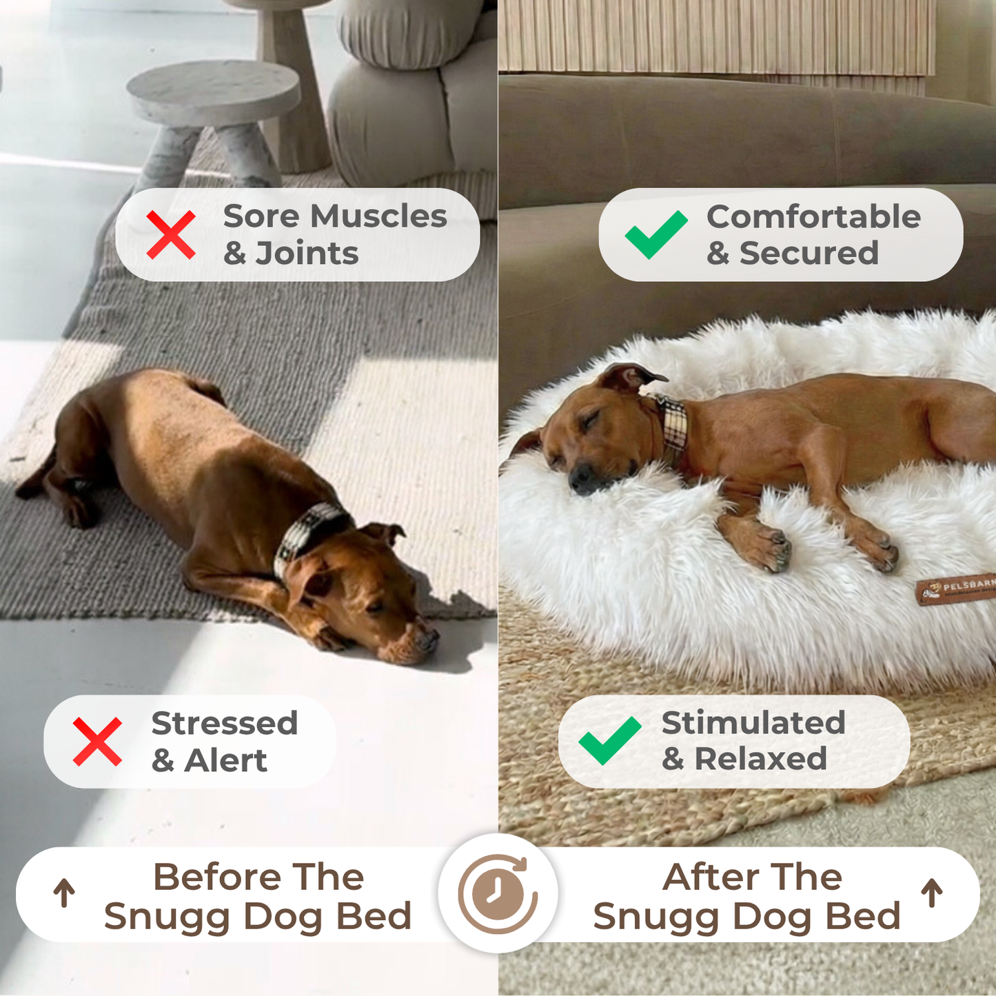 Snugg Dog Bed