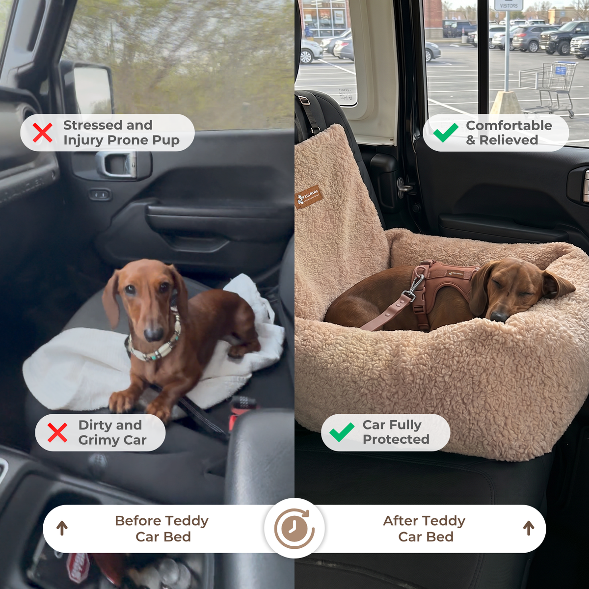 Teddy Car Bed