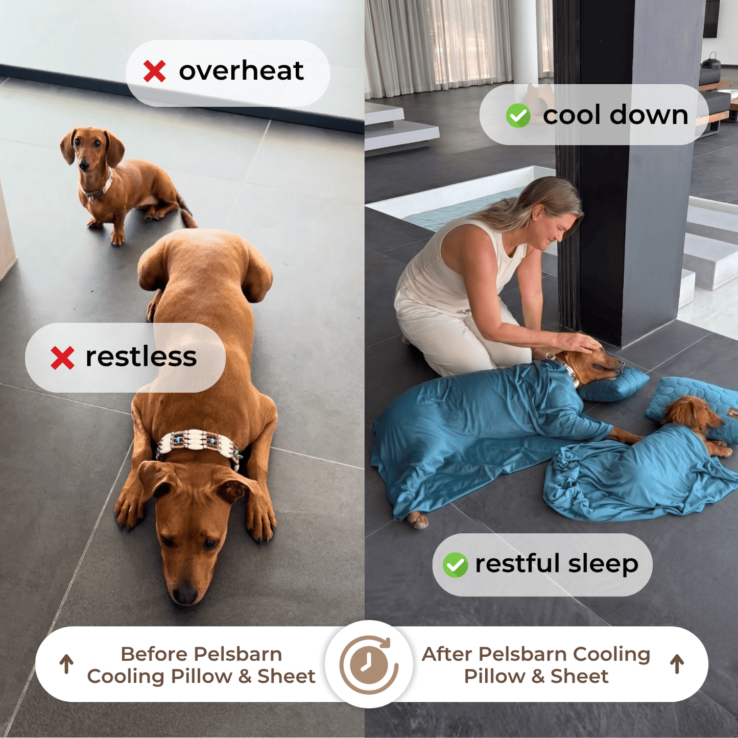 Pelsbarn Cooling Pillow & Sheet