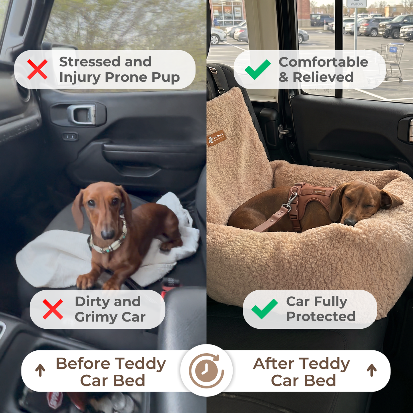 Teddy Car Bed ( 1+1 )