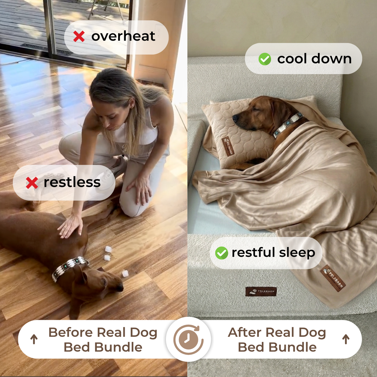 Ready for Dream Bed