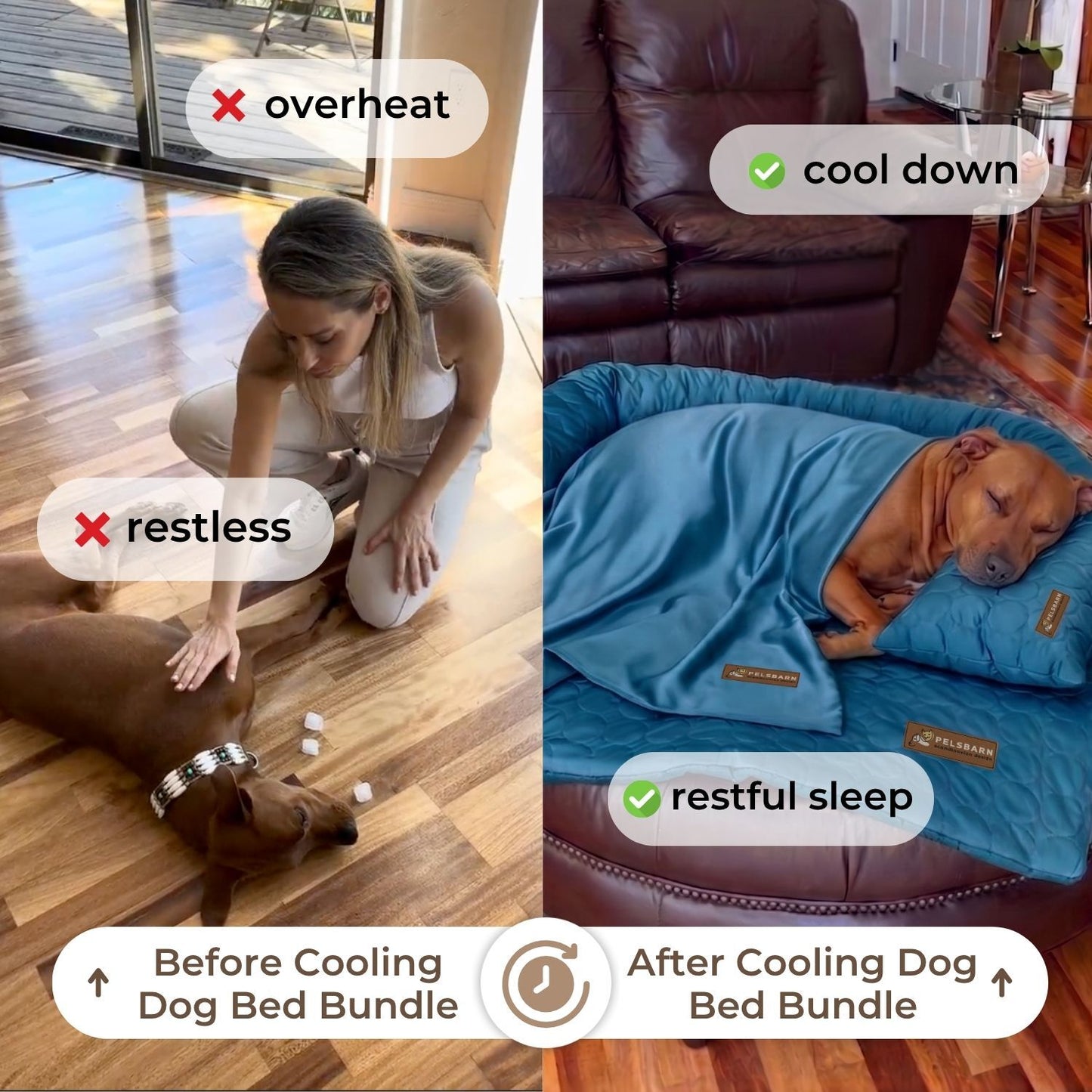 Heatrelief Cooling Dog Bed Complete Bundle