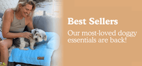 Dog Safety Seat Belt with Elastic Bungee Buffer
