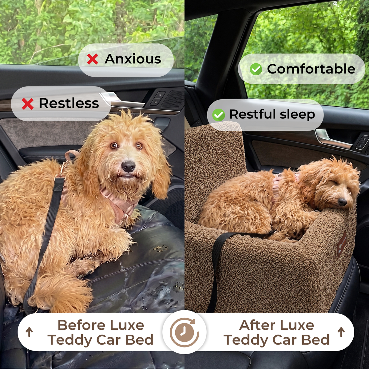 Luxe Teddy Car Bed