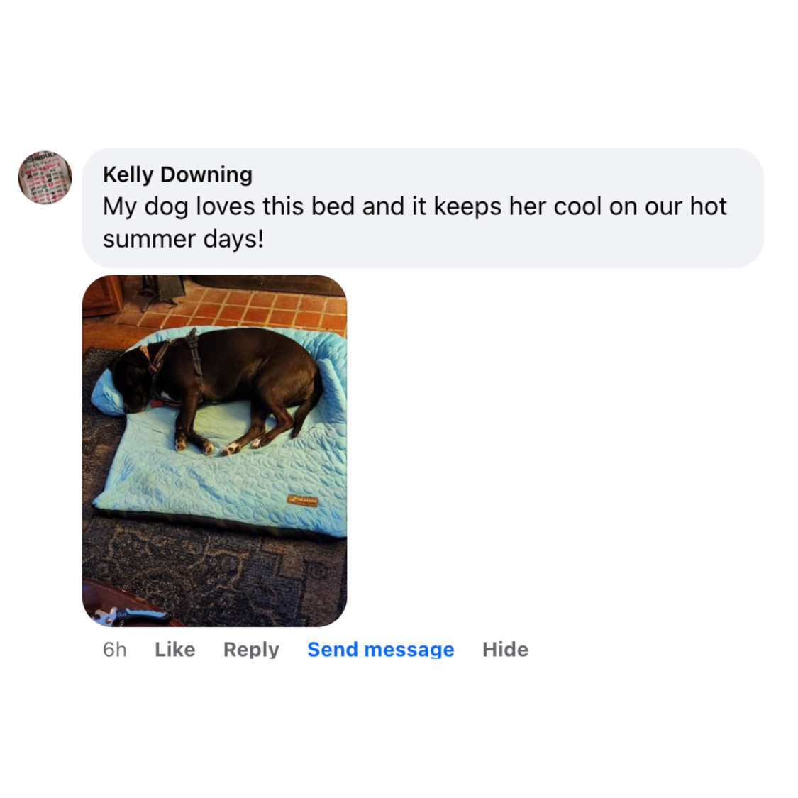 Pelsbarn Cooling Bed (4x more effective) BOGO Deal