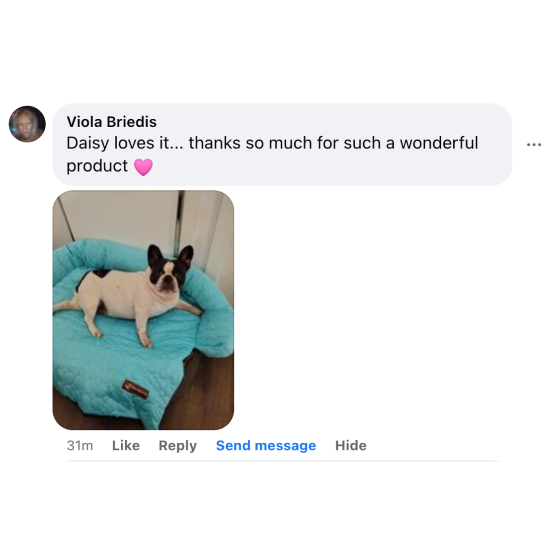 Pelsbarn Cooling Bed (4x more effective) BOGO Deal