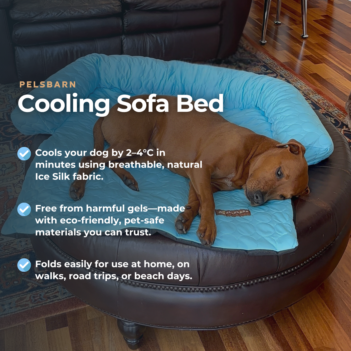 Pelsbarn Cooling Bed (4x more effective) BOGO Deal