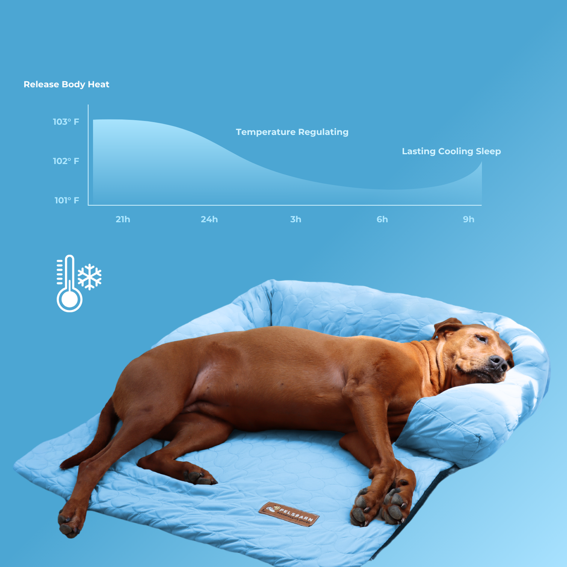Pelsbarn Cooling Bed (4x more effective) BOGO Deal