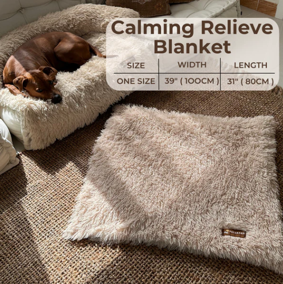 The Calming Relief Blanket beside a dog asleep in its Pelsbarn bed, one size, 39 x 31 in