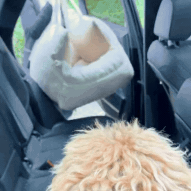 Cloud Car Bed-To-Go