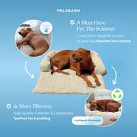 Pelsbarn Cooling Bed (4x more effective)