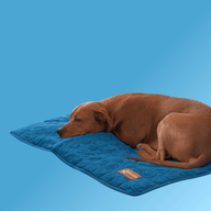 Cooling Mat