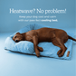 Pelsbarn Cooling Bed (4x more effective)