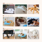 Heatrelief cooling dog bed 2.0