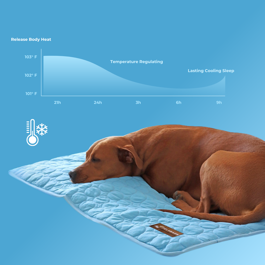 Pelsbarn Cooling Mat Bundle
