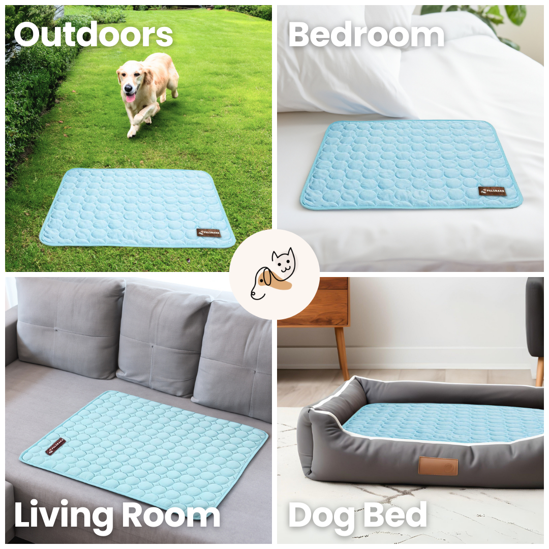 Pet cooling mat b and m online