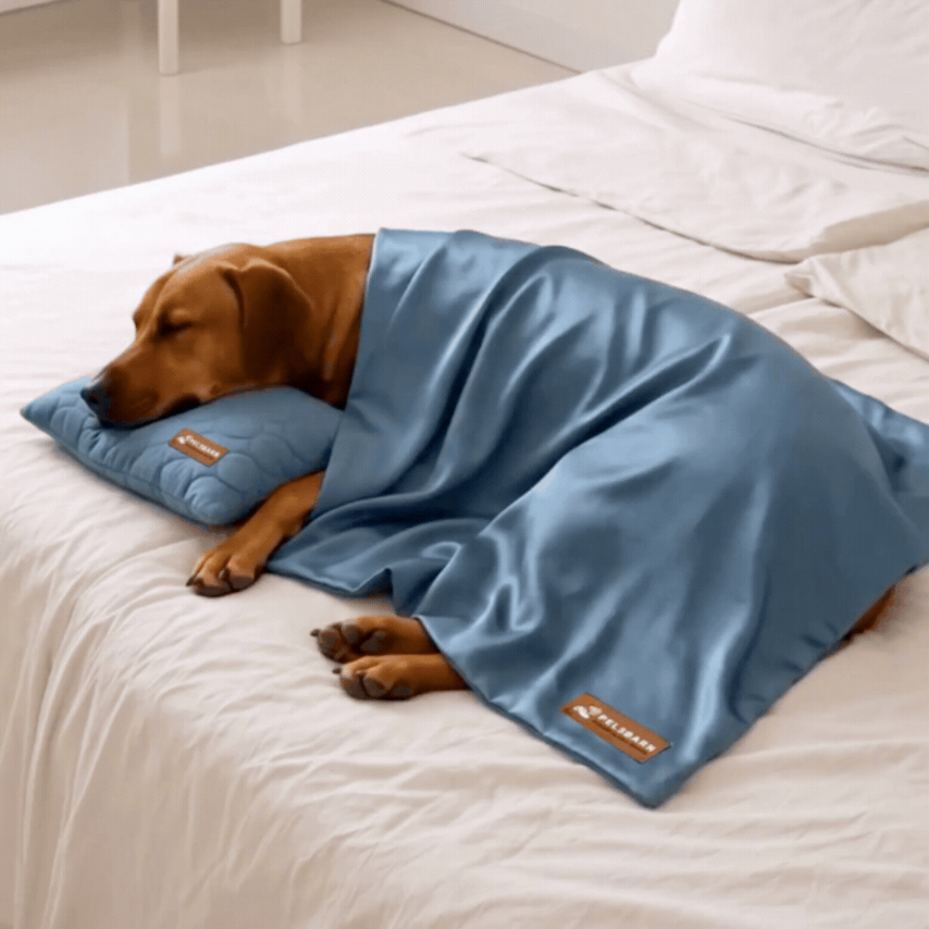 Pelsbarn Cooling Pillow + Sheet Bundle