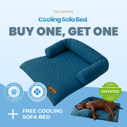 Cama de enfriamiento Pelsbarn (4 veces más efectiva)