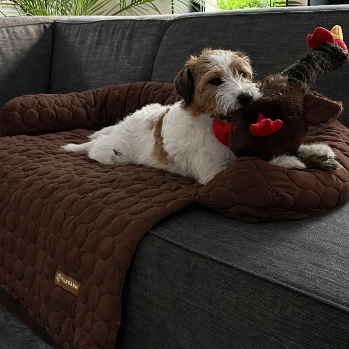Pelsbarn Cooling Bed (4x more effective)