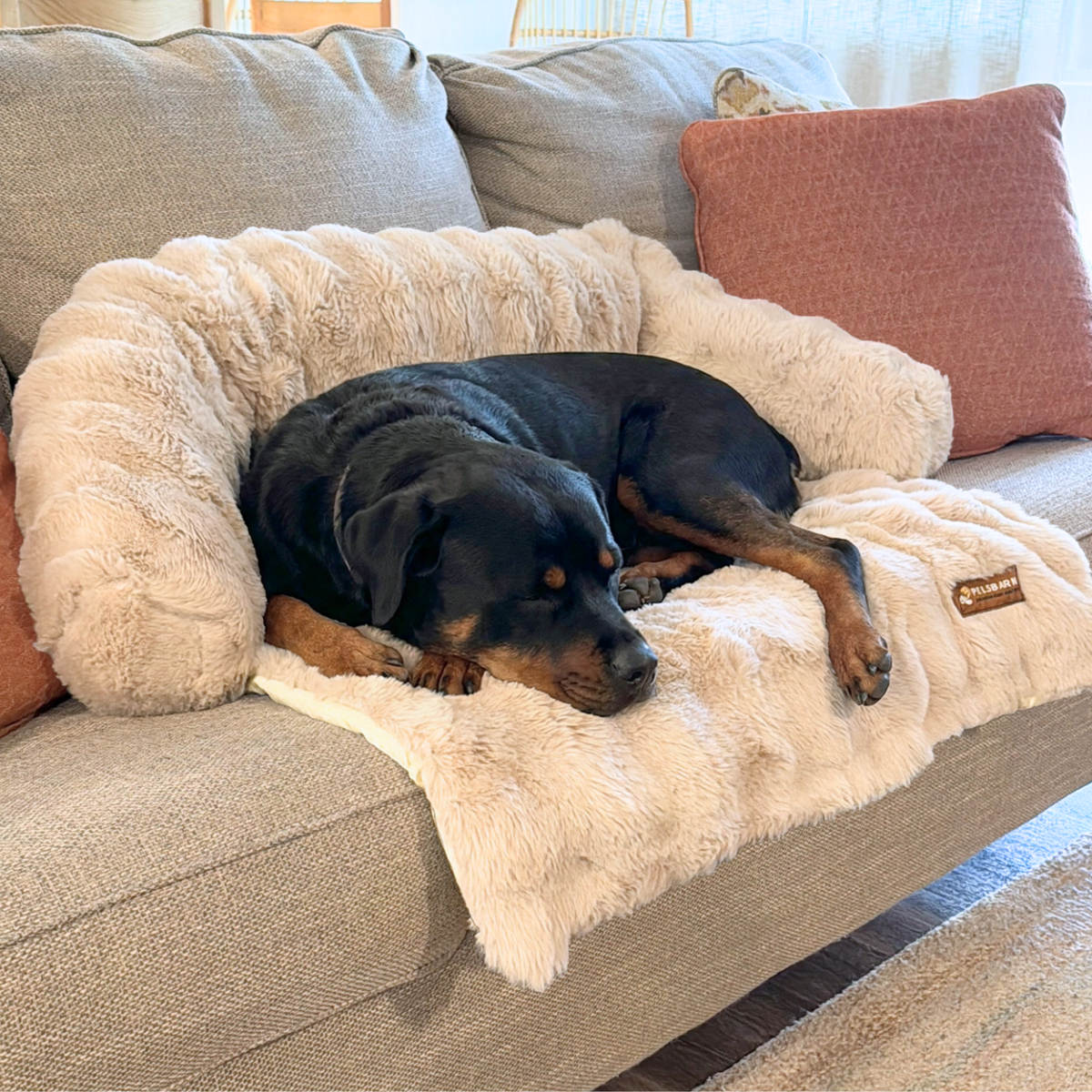 Luxurious Sofa Bed