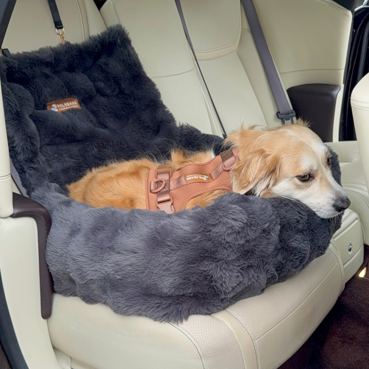 Luxurious Cozy Car Bed