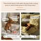 Pelsbarn Comfy Nest: Your Dog’s New Best Friend