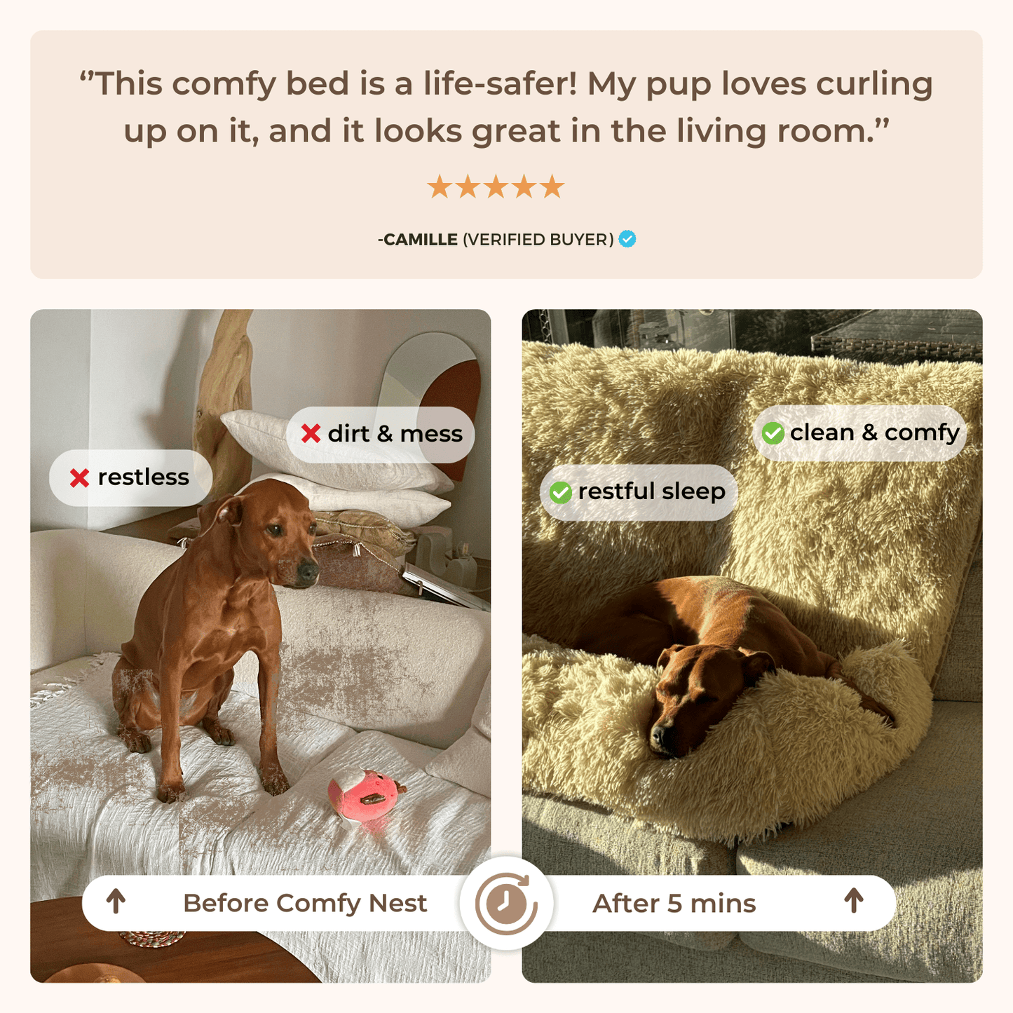 Pelsbarn Comfy Nest: Your Dog’s New Best Friend