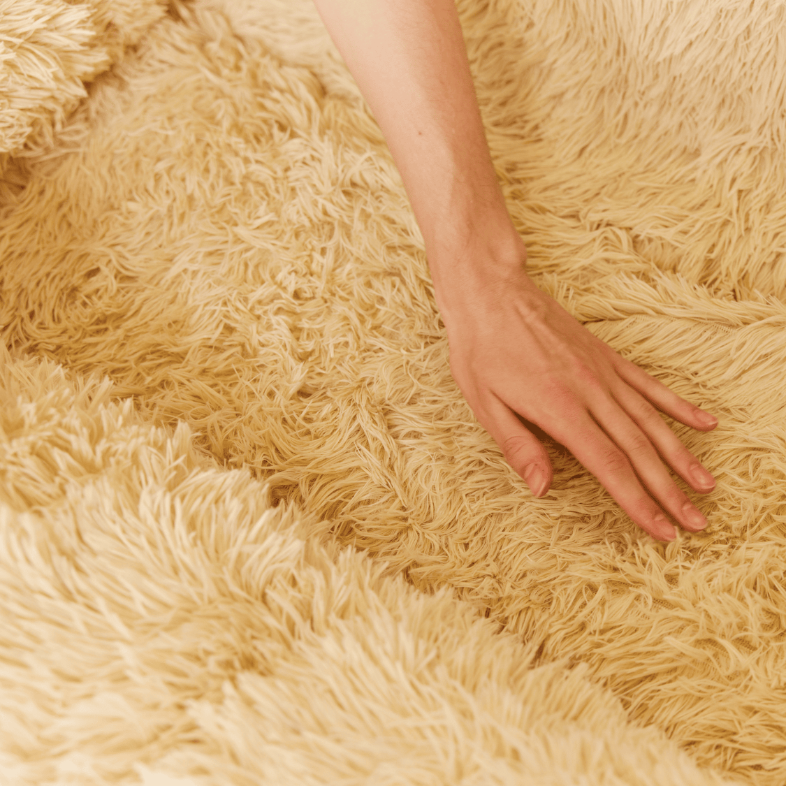 Pelsbarn Comfy Nest: Your Dog’s New Best Friend