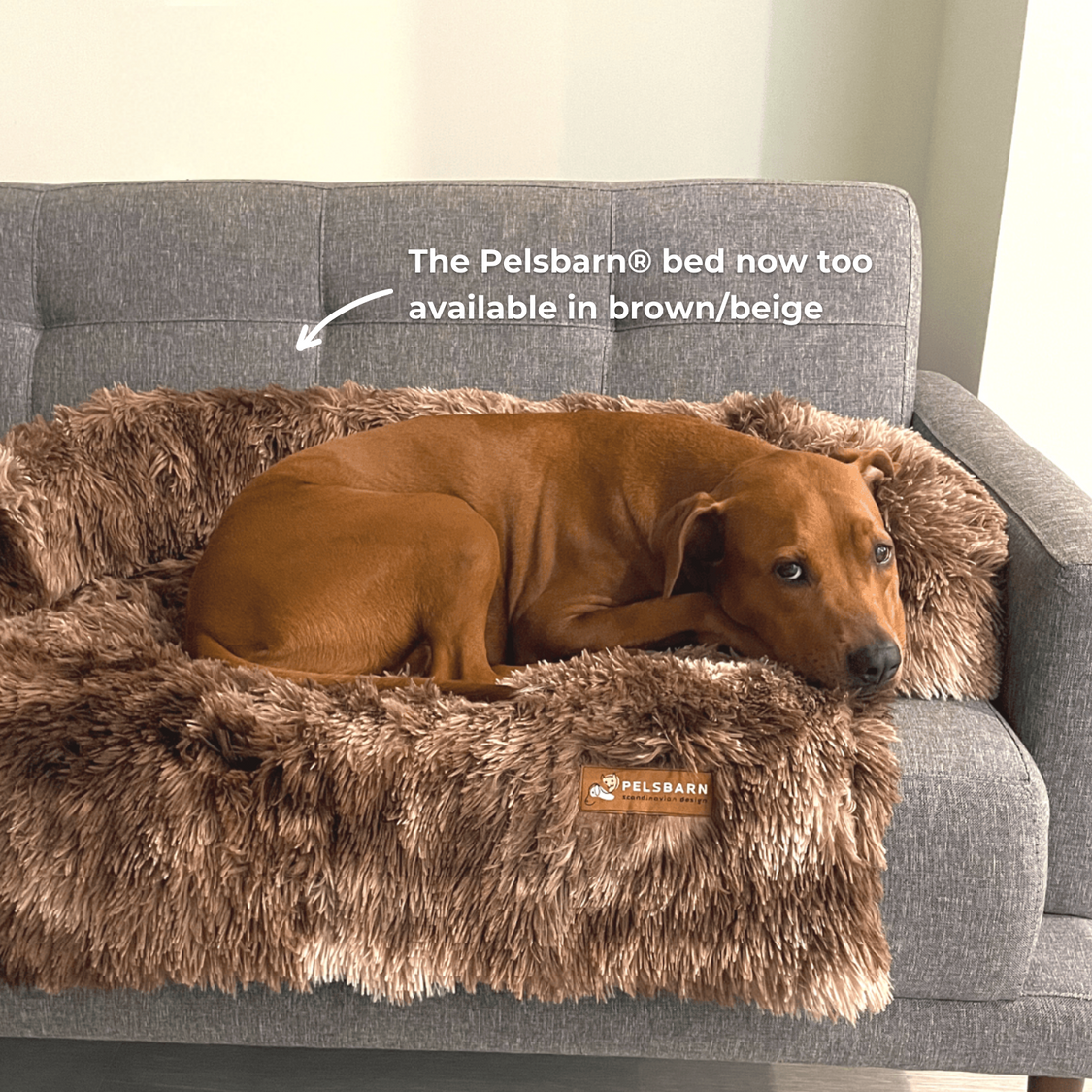 Original Pelsbarn Bed + FREE calming blanket