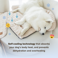 Pelsbarn Cooling Bed (4x more effective)