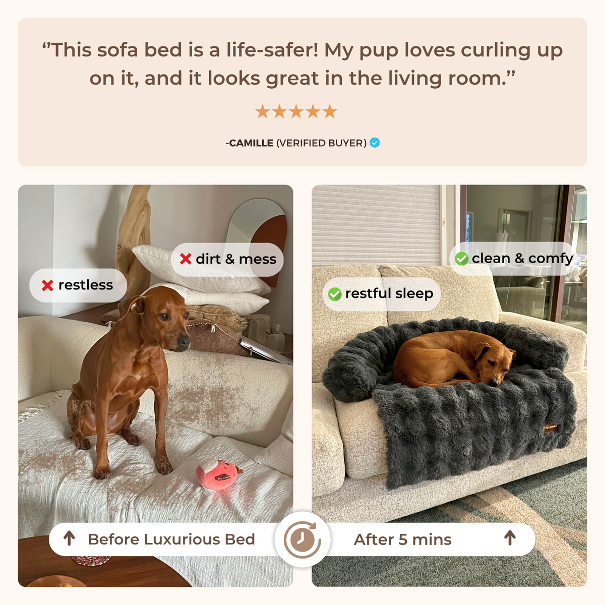 Luxurious Sofa Bed
