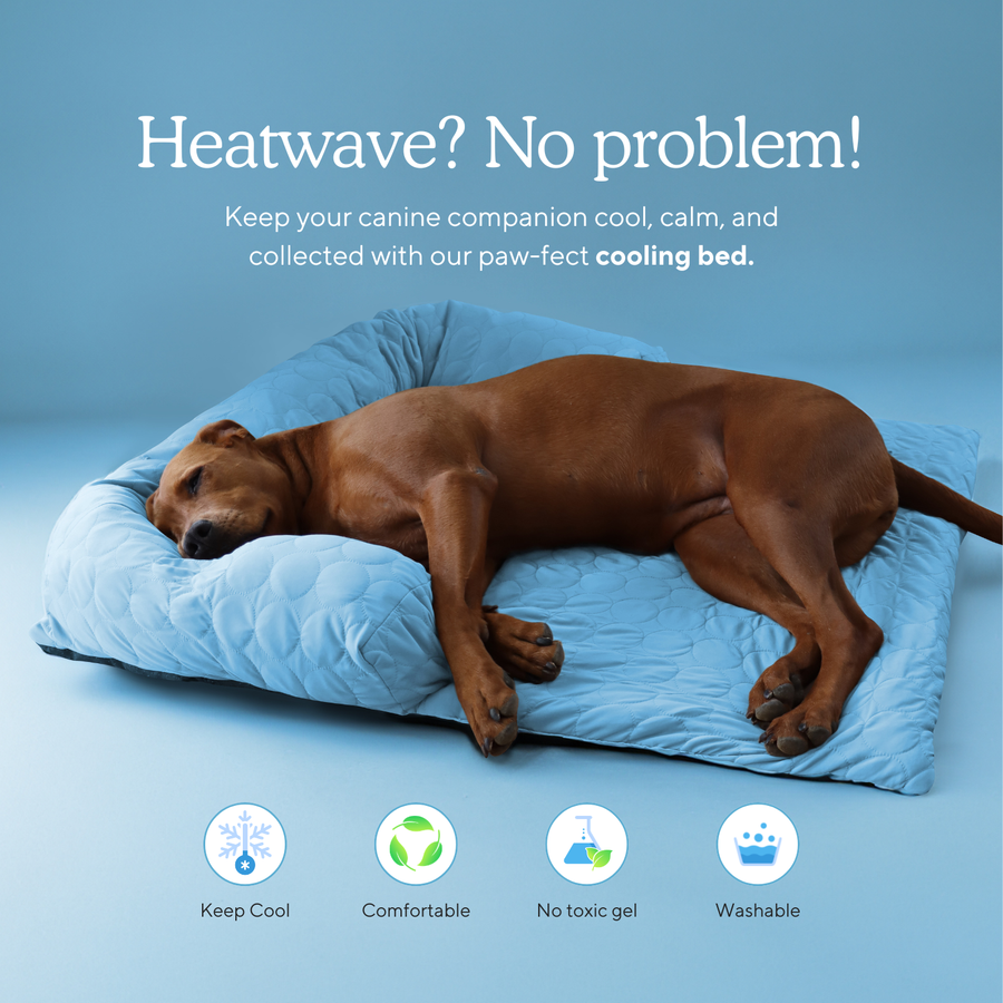 HeatRelief™ Cooling Dog Bed