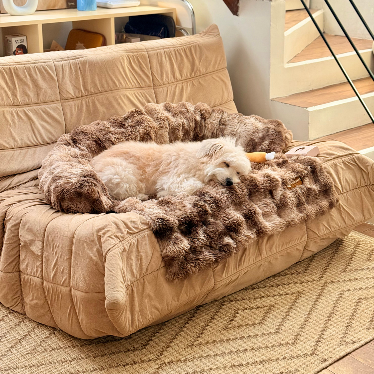 Luxurious Sofa Bed