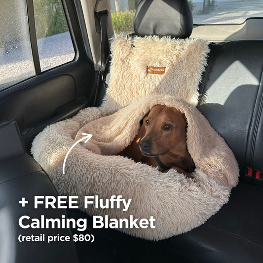 FCB + Fluffy Calming Blanket (free product)