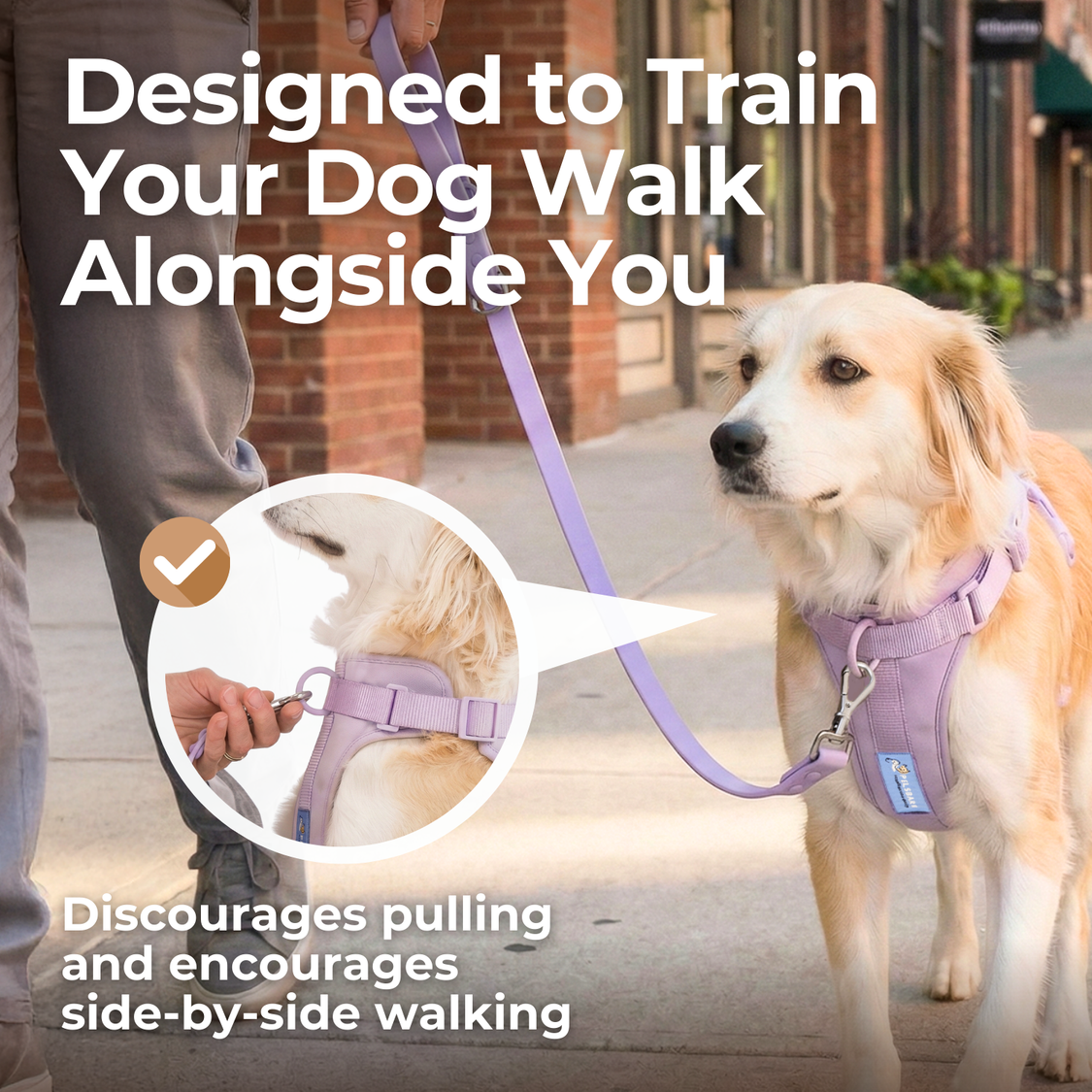 Pelsbarn Harness 1.0