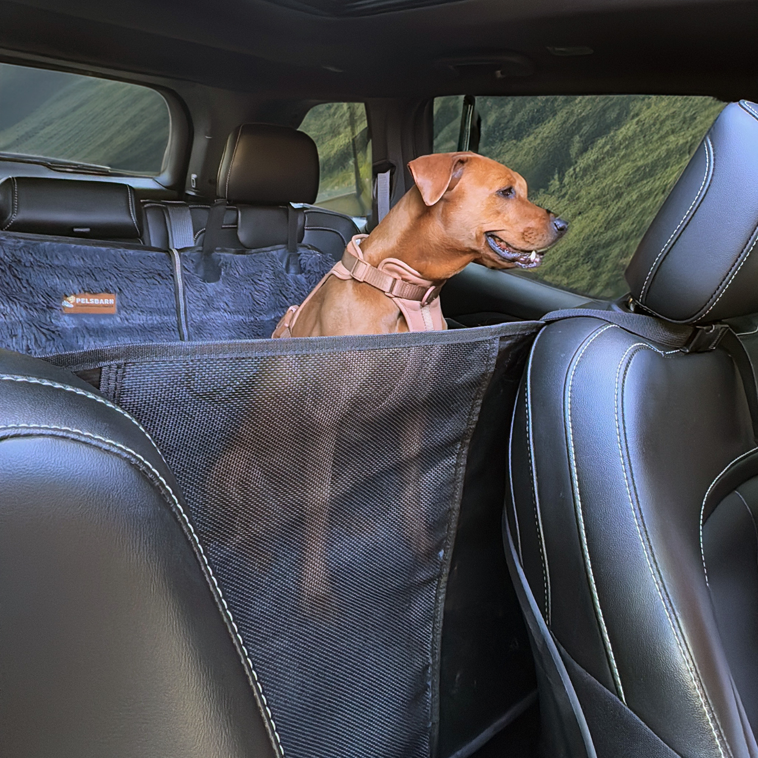 NEW: For Stress-Free, Cozy Car Rides – - Main Image