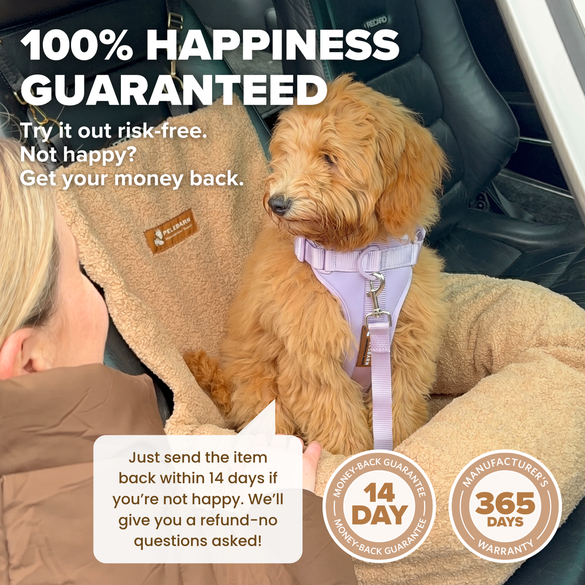 Teddy Car Bed