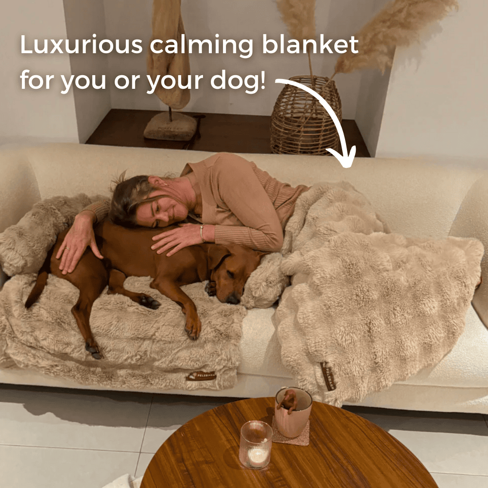 Luxurious Calming Blanket to stay warm and cozy