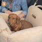 Pelsbarn Teddy Cozy Car Seat